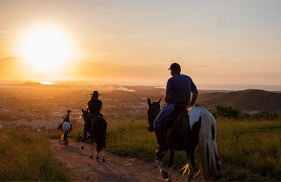 An ode to horseback riding: escape on horseback into the natural beauties of France